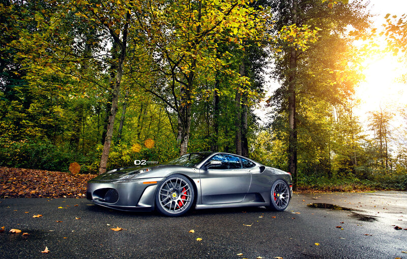 Silver Ferrari in Forest — Gray