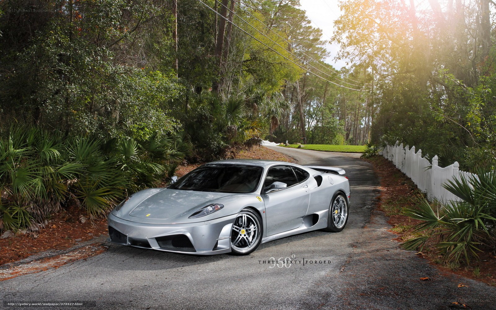 silver ferrari on a forest road