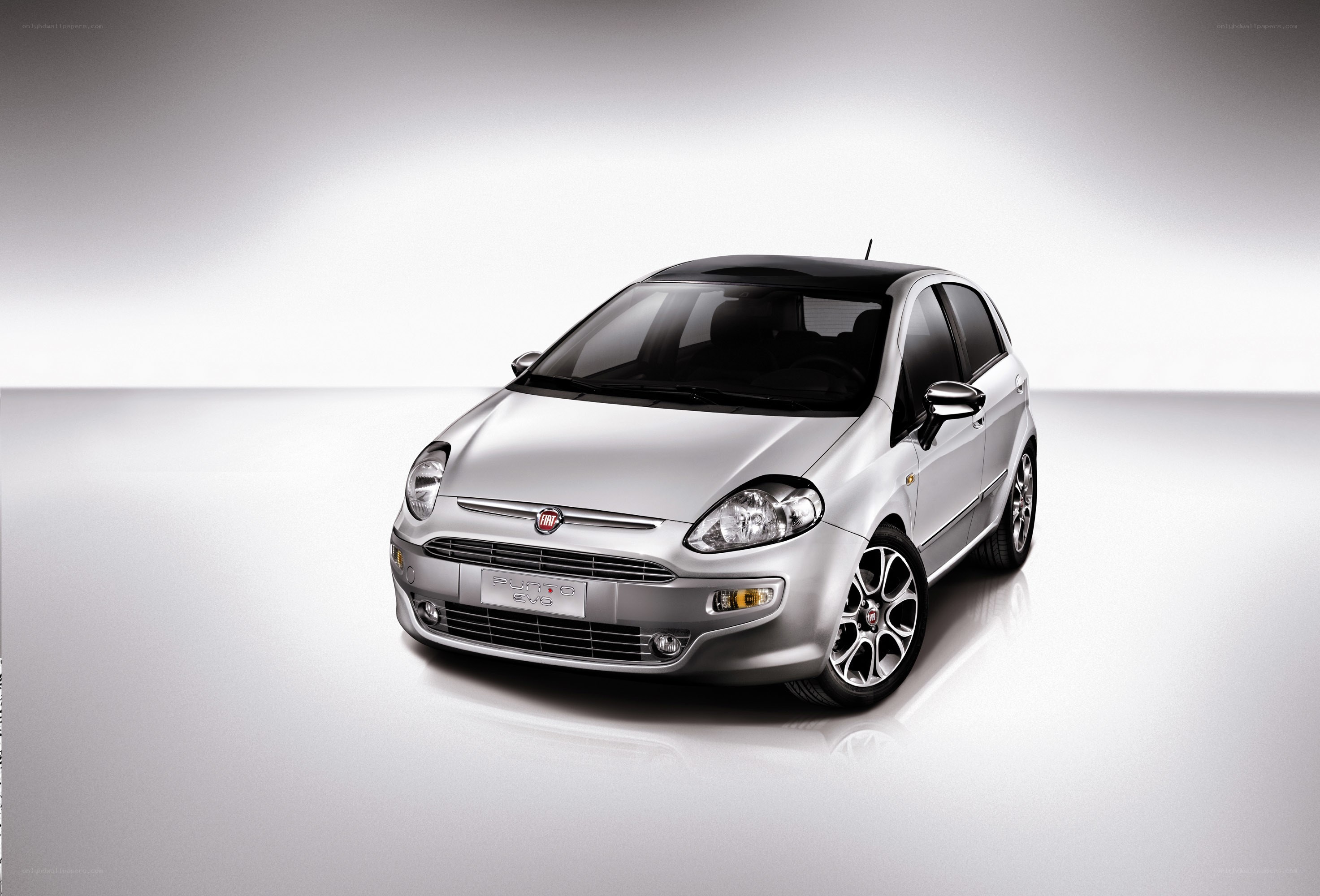 Silver Fiat Punto Evo