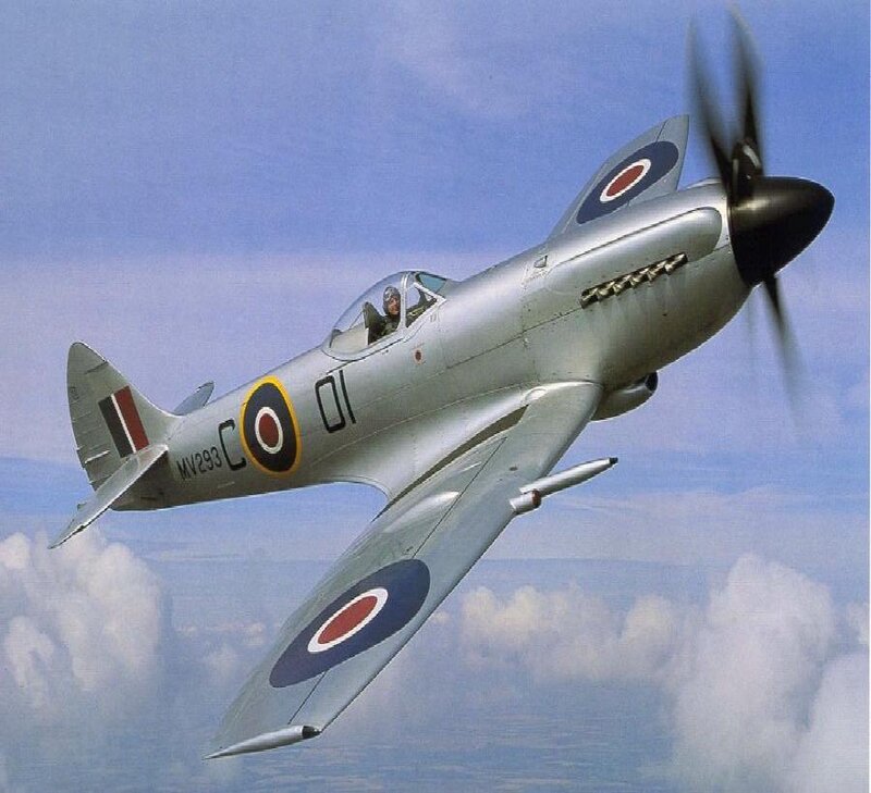 Silver Fighter Plane — Gray, Dynamic