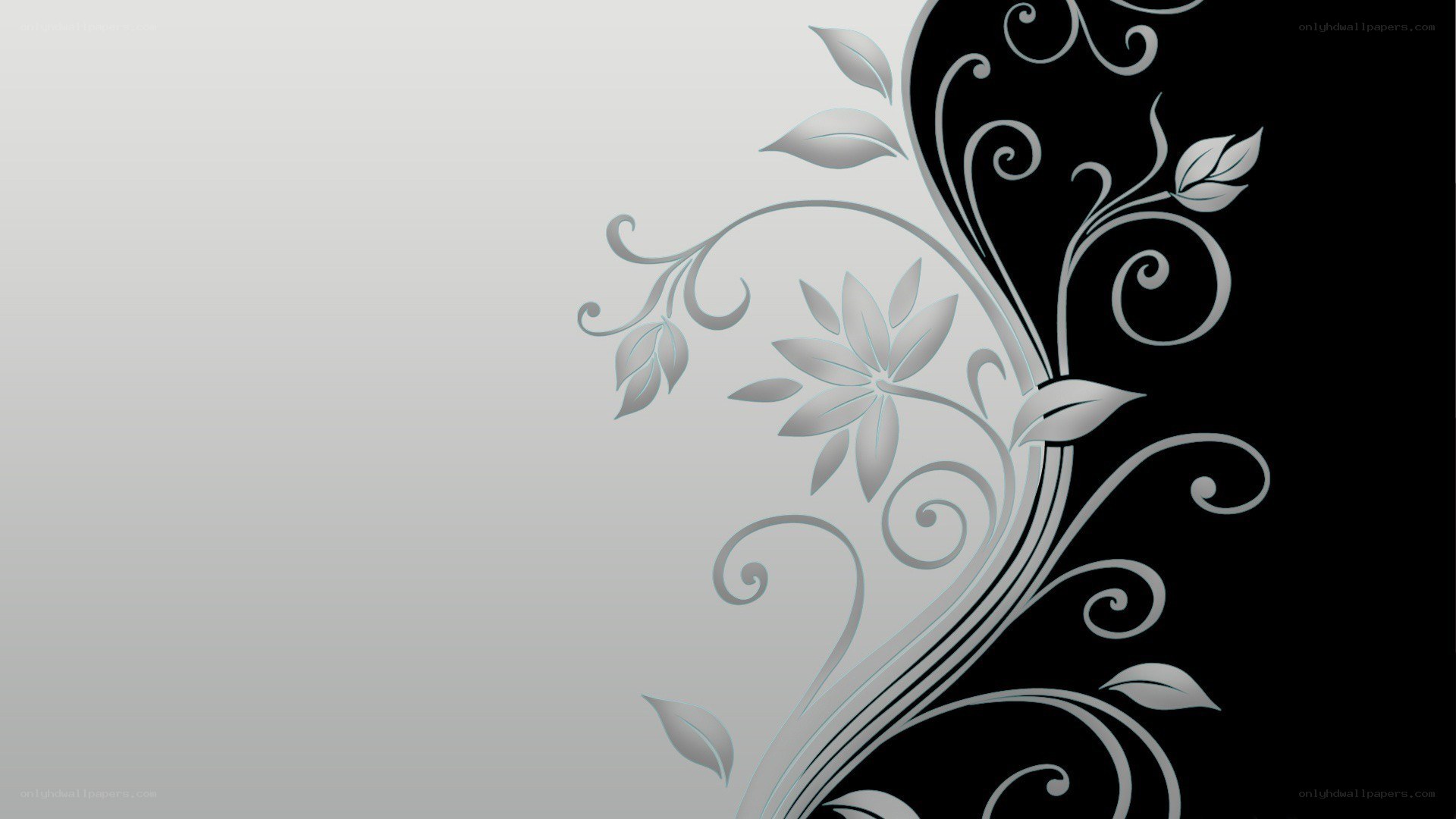 silver floral design wallpaper