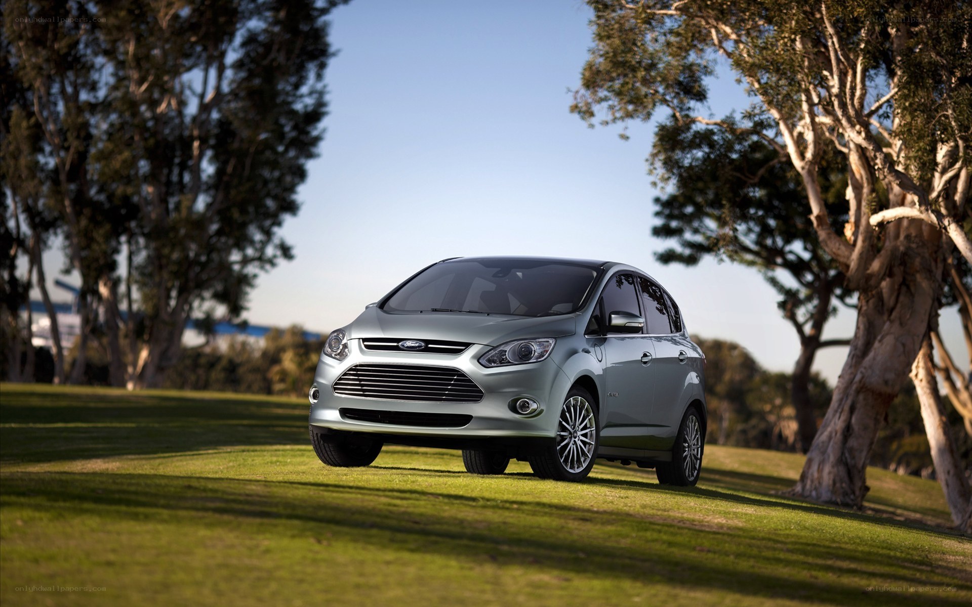 Silver Ford C-Max on a grassy field