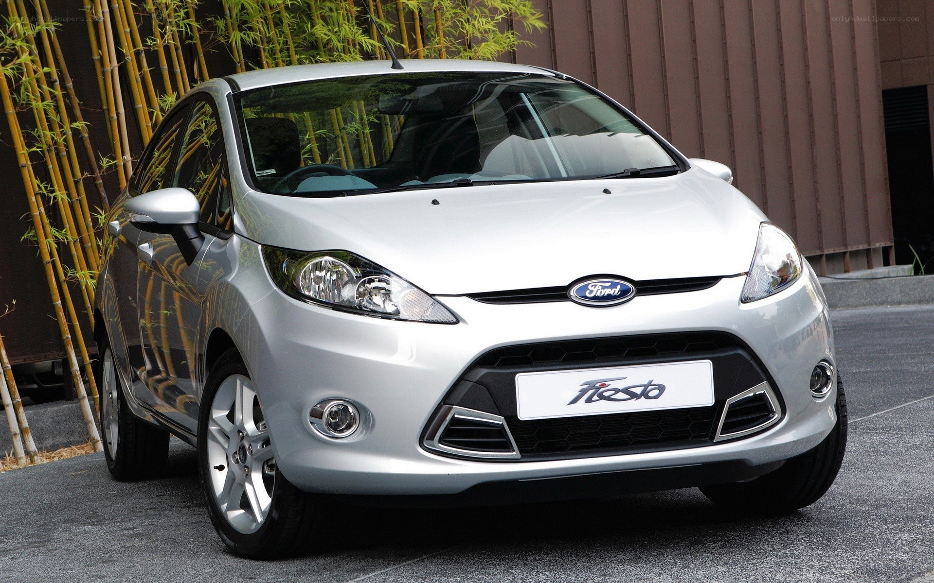 silver ford fiesta car