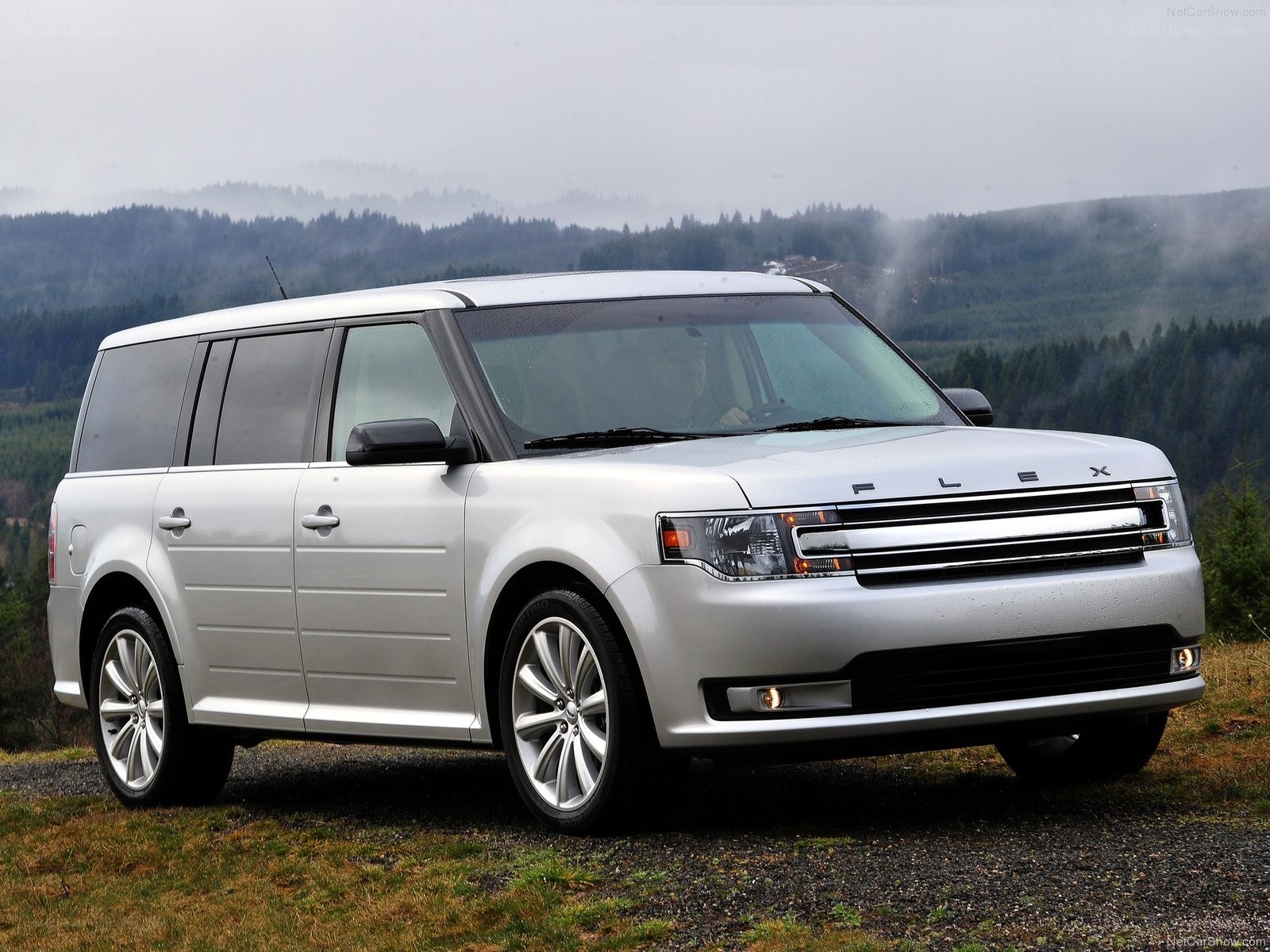 silver ford flex suv