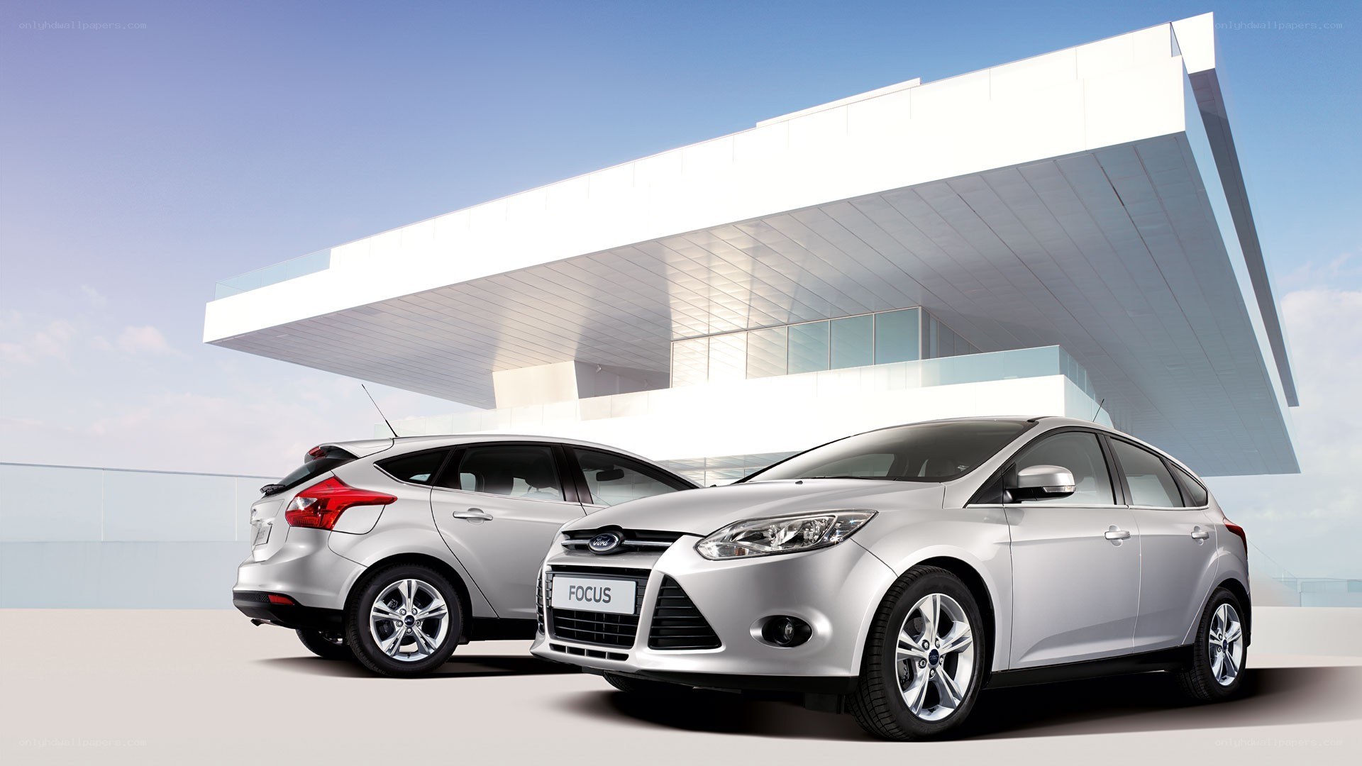 Silver Ford Focus cars