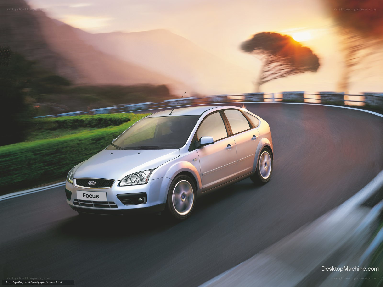 Silver Ford Focus on winding road