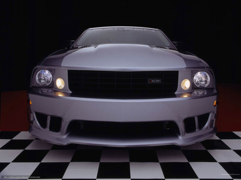 Silver Ford Mustang — Black
