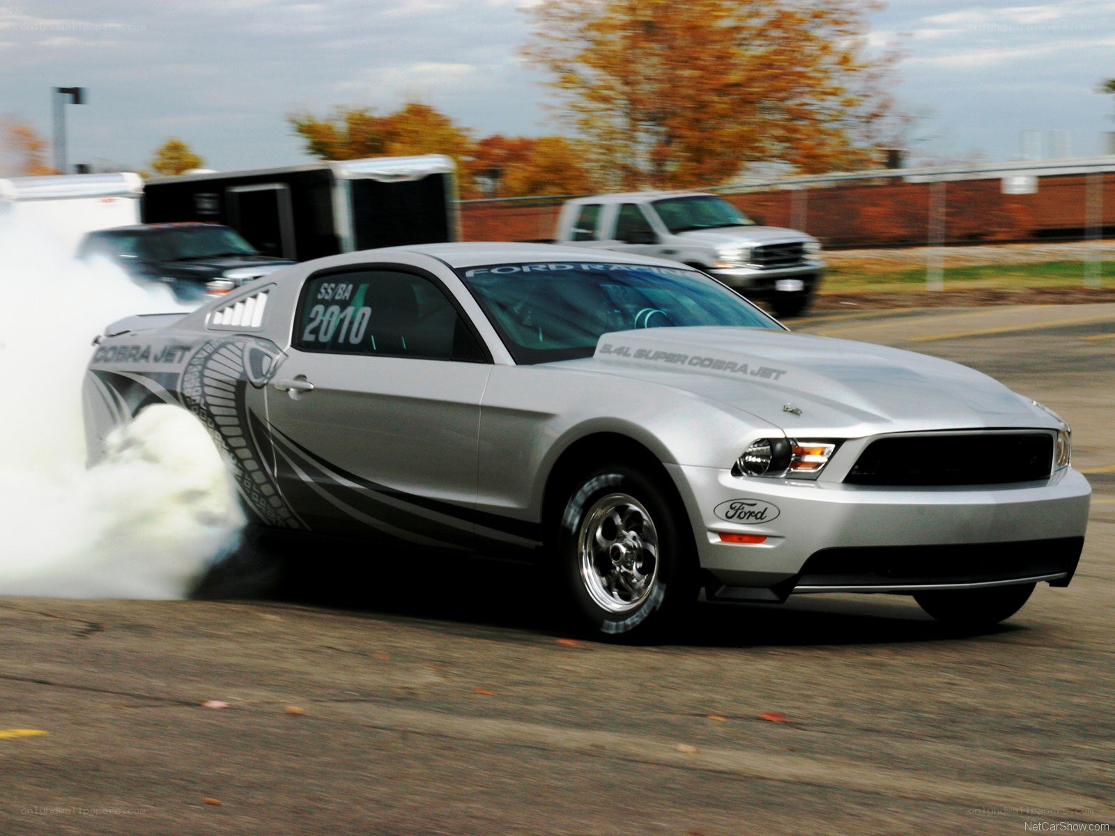Silver Ford Mustang Cobra Jet