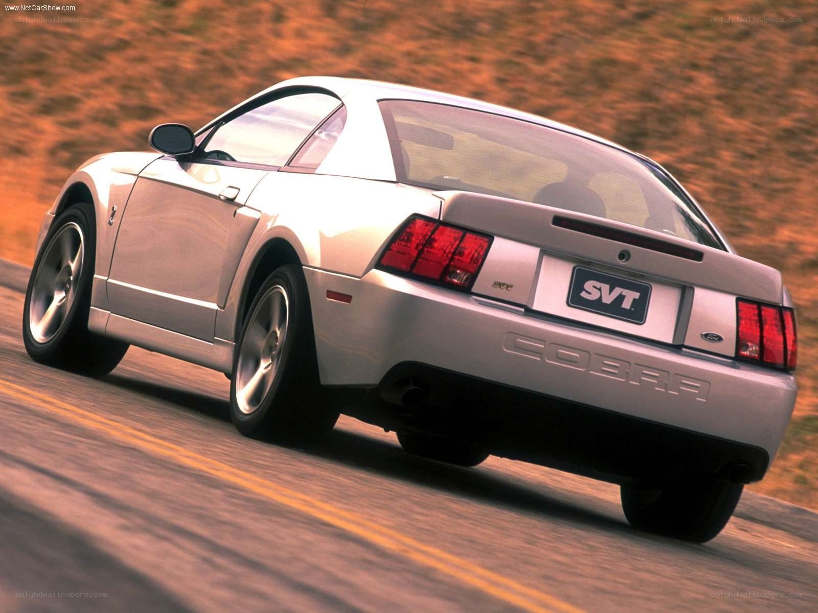 silver ford mustang cobra svtt