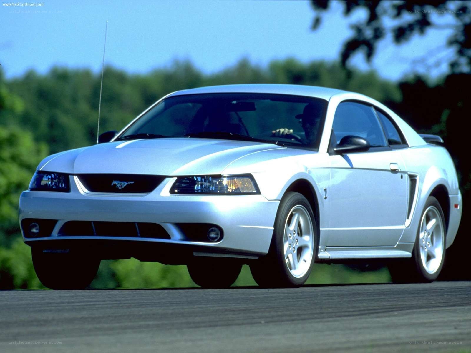 silver ford mustang coupe