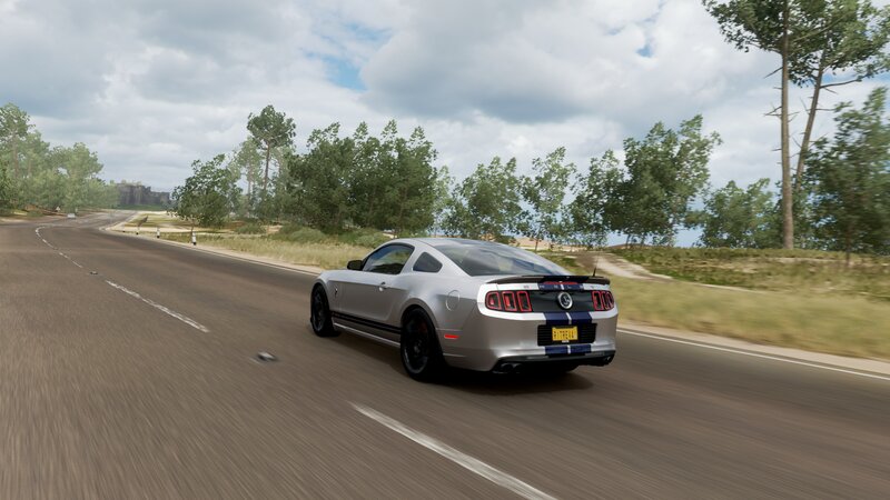 Silver Ford Mustang — Dynamic, Afternoon