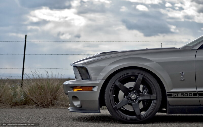 Silver Ford Mustang — Gray, Dramatic, Afternoon, Photograph, Car, Fence