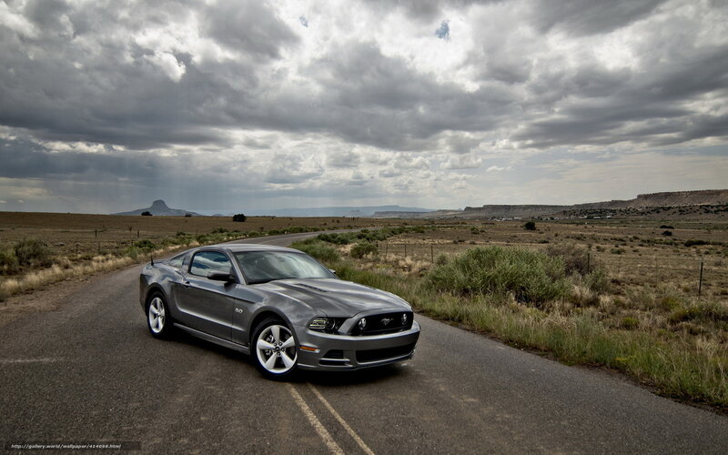 Silver Ford Mustang — Gray, Dramatic, Afternoon, Photograph, Car, Road