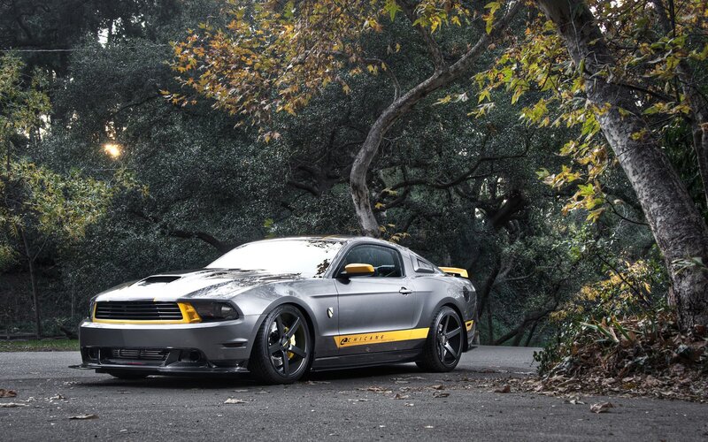 Silver Ford Mustang — Gray, Dramatic, Autumn