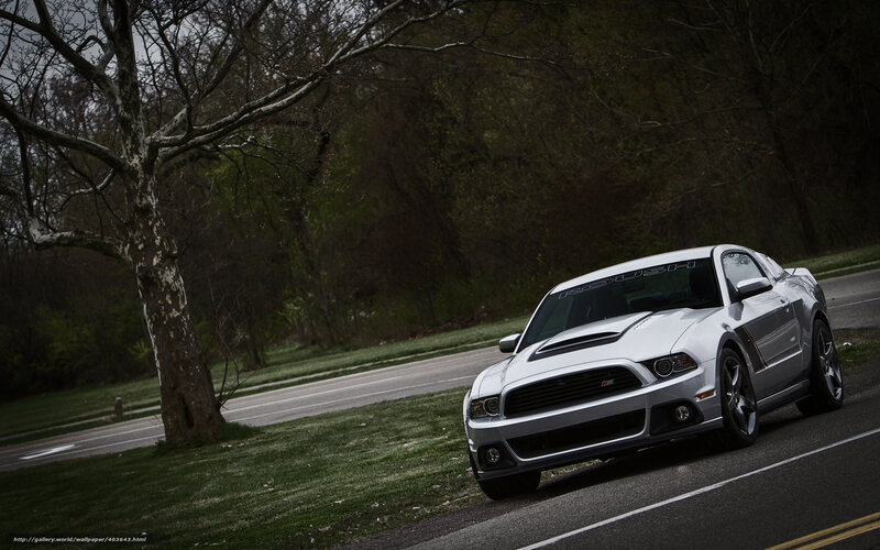Silver Ford Mustang — Gray, Dramatic, Spring