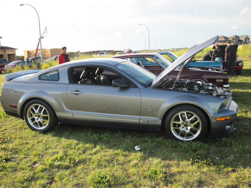 Silver Ford Mustang — Gray, Outdoor, Afternoon, Photograph, Cars