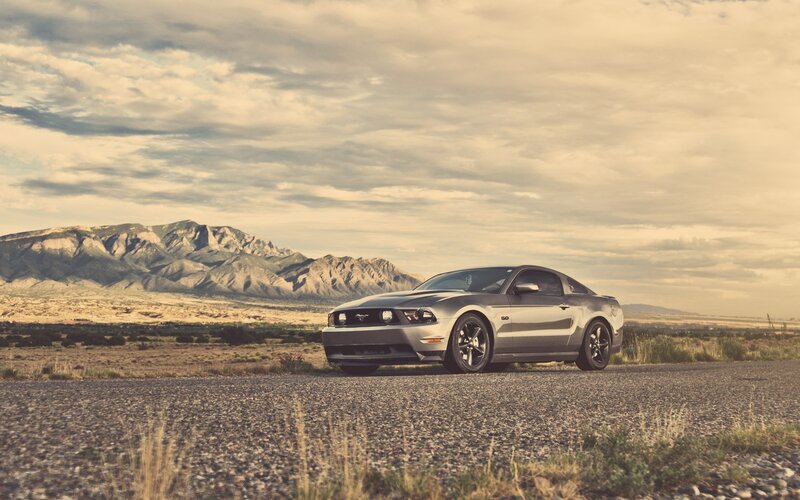 Silver Ford Mustang — Gray, Serene, Afternoon