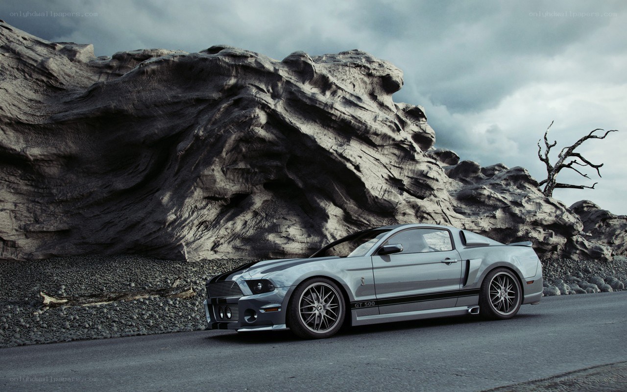 Silver Ford Mustang GT500