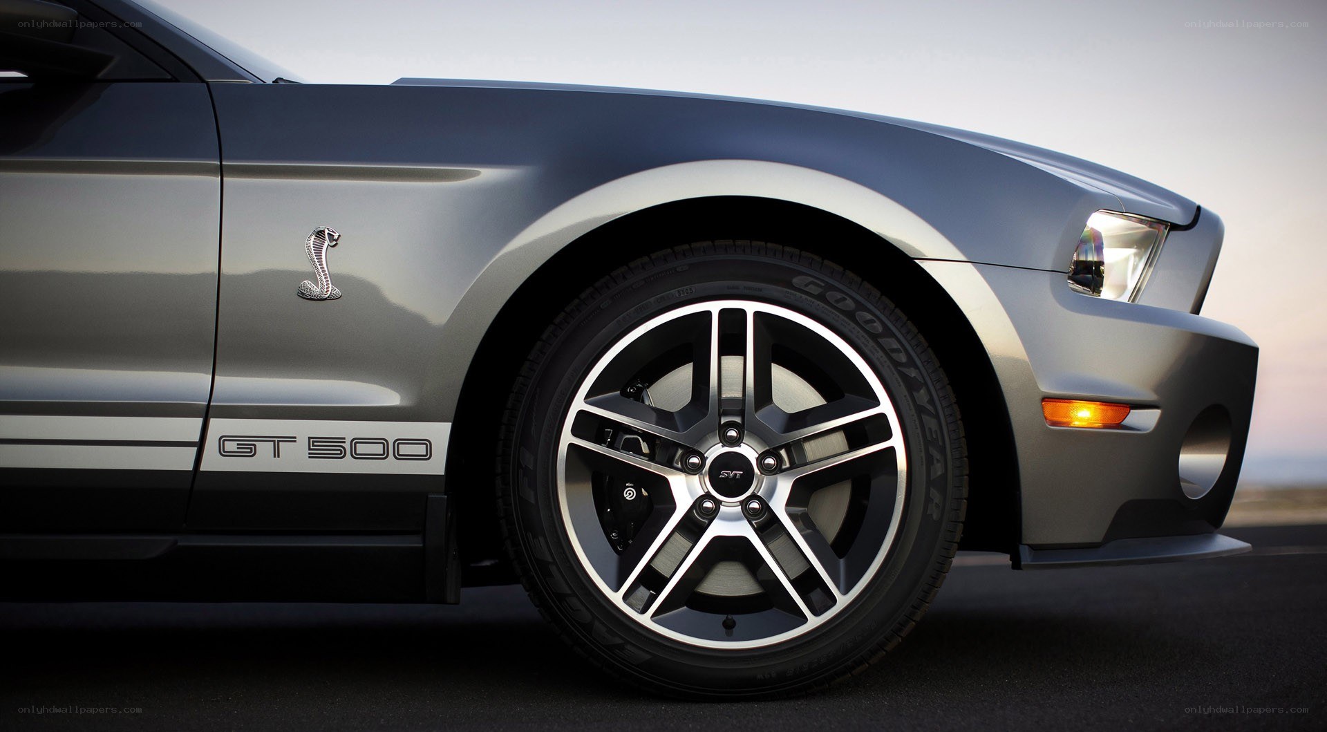 Silver Ford Mustang GT500