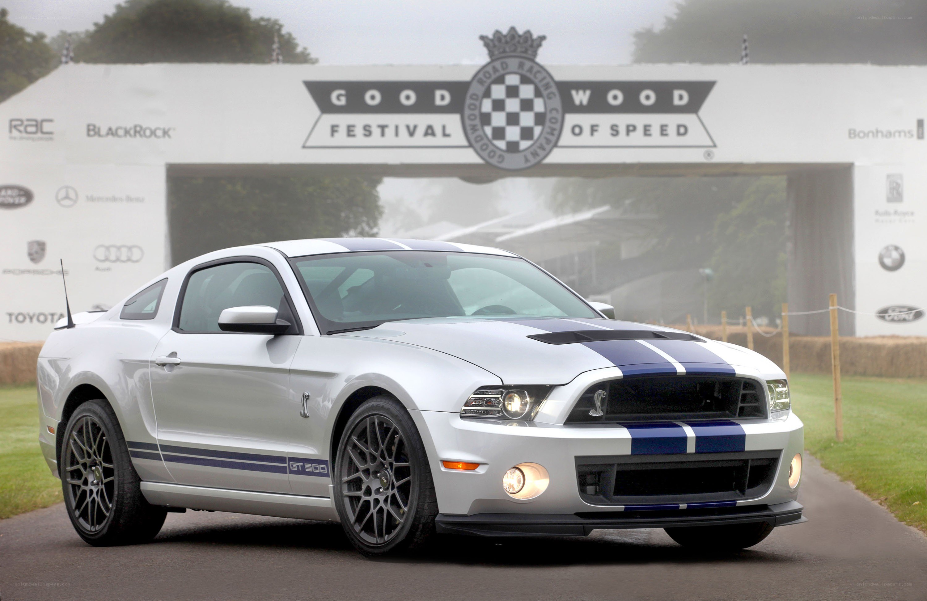 Silver Ford Mustang GT500