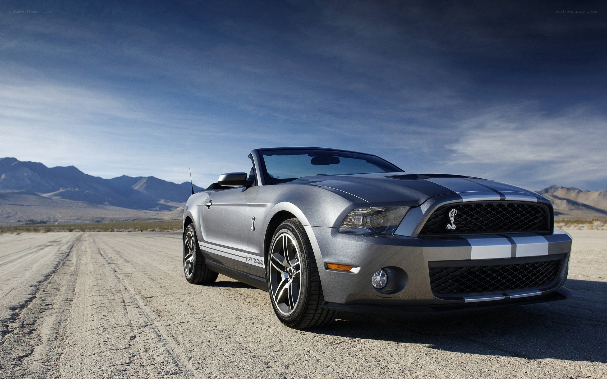 Silver Ford Mustang GT500