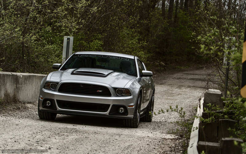 Silver Ford Mustang — Natural