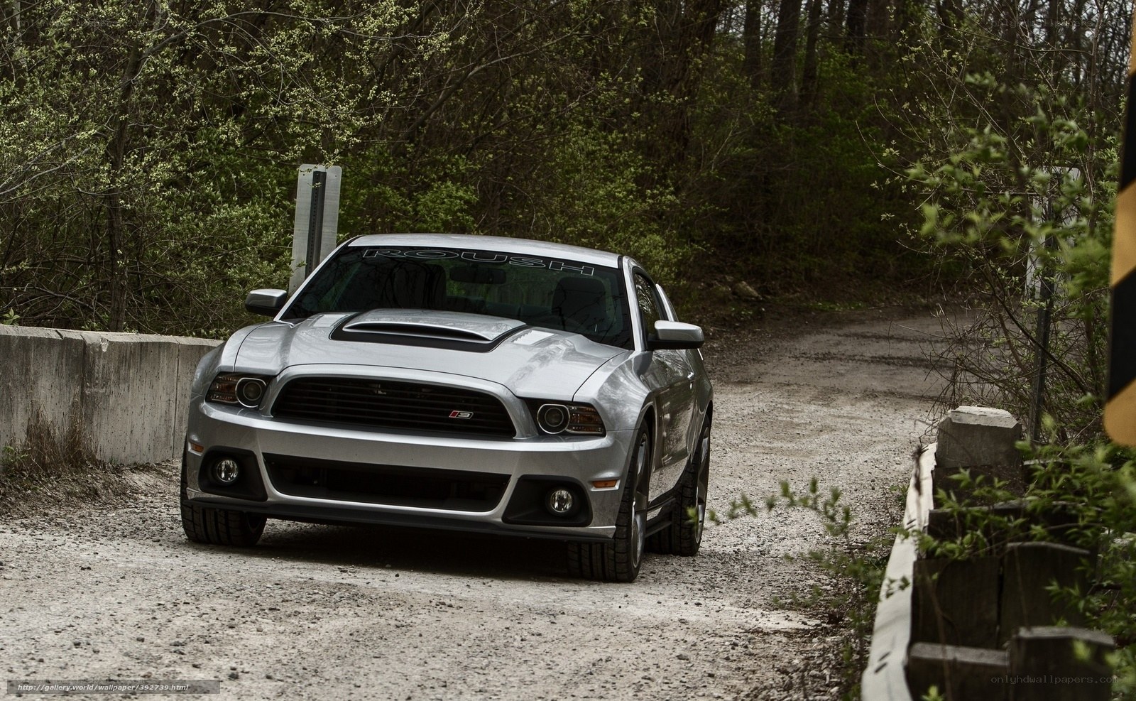 Silver Ford Mustang on a dirt road