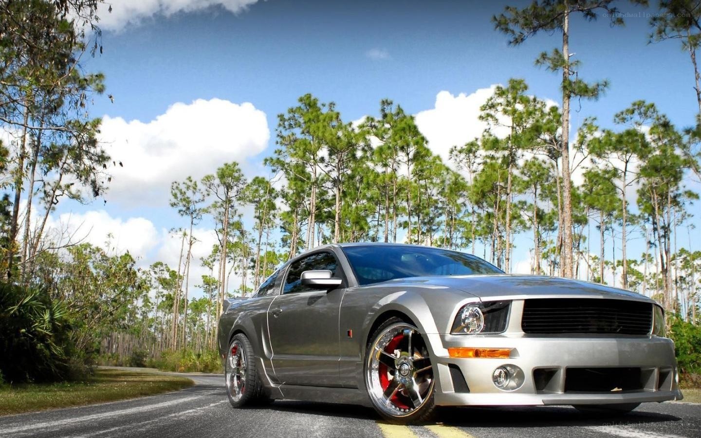 Silver Ford Mustang on a forest road