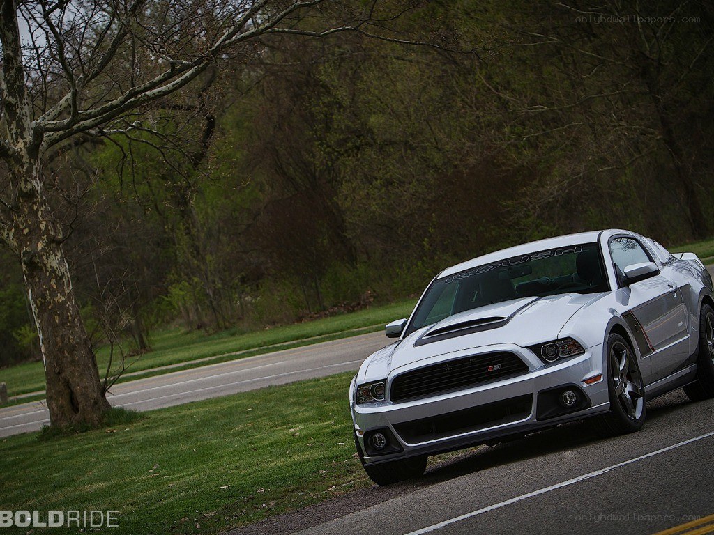 Silver Ford Mustang on a road