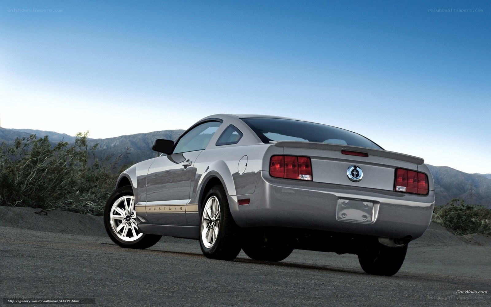 Silver Ford Mustang on a road