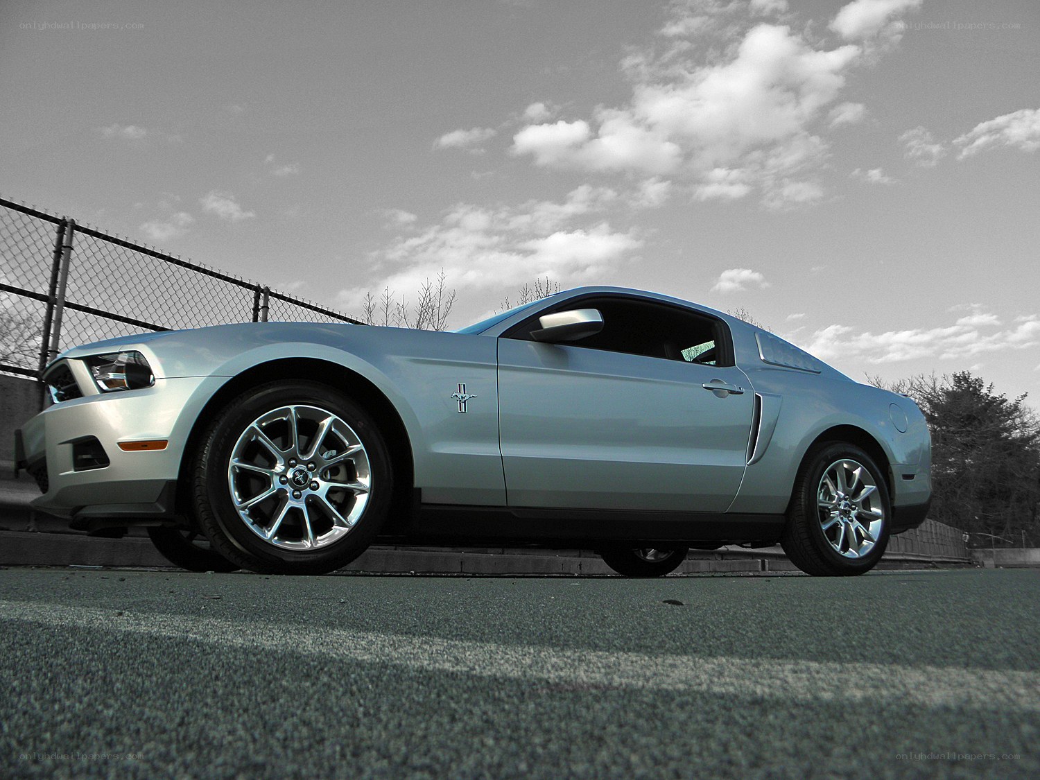 silver ford mustang on asphalt