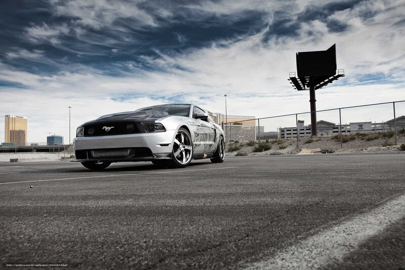 Silver Ford Mustang on asphalt
