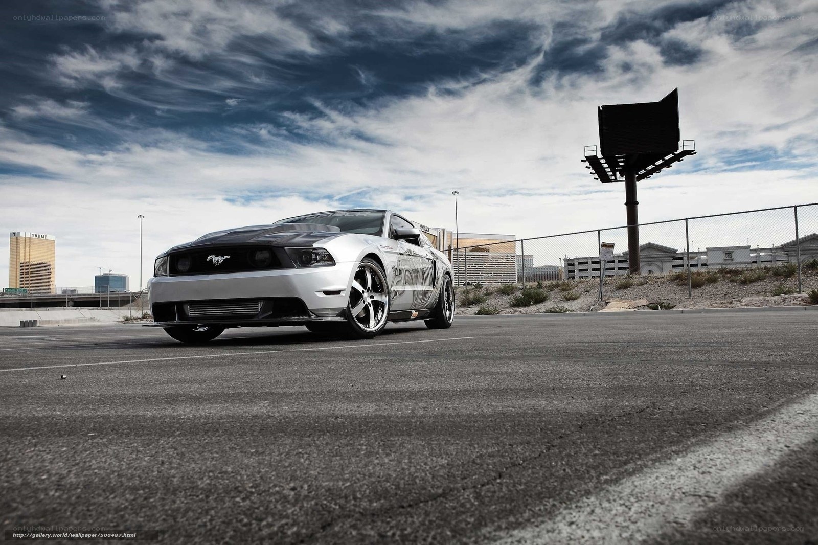 Silver Ford Mustang on asphalt