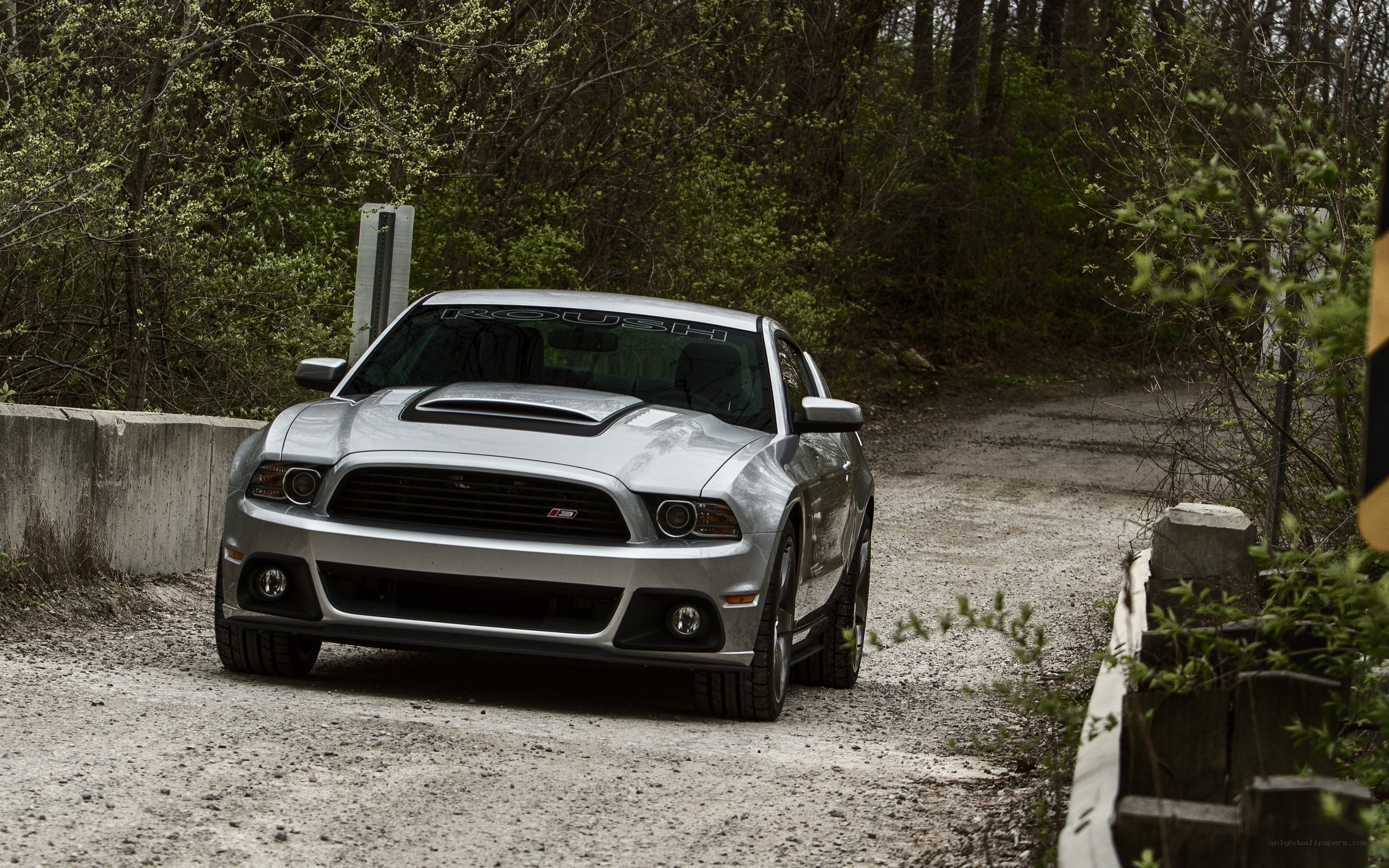 Silver Ford Mustang on dirt road