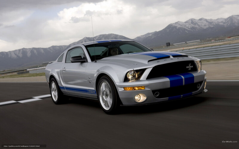 Silver Ford Mustang on racetrack