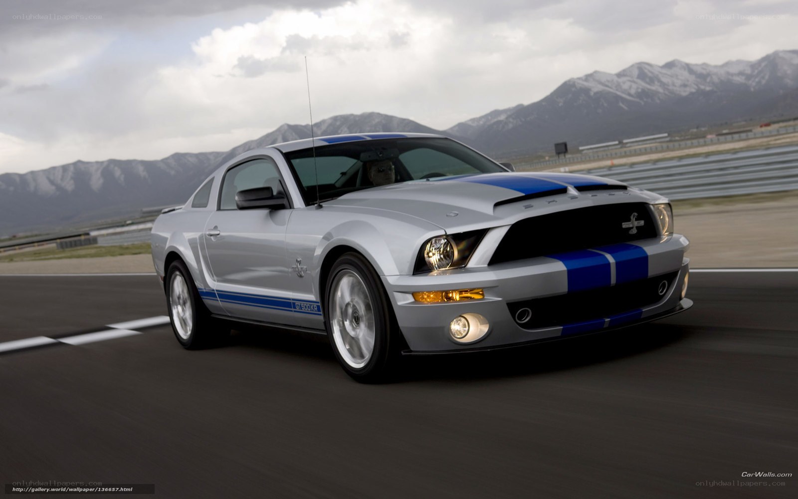 Silver Ford Mustang on racetrack