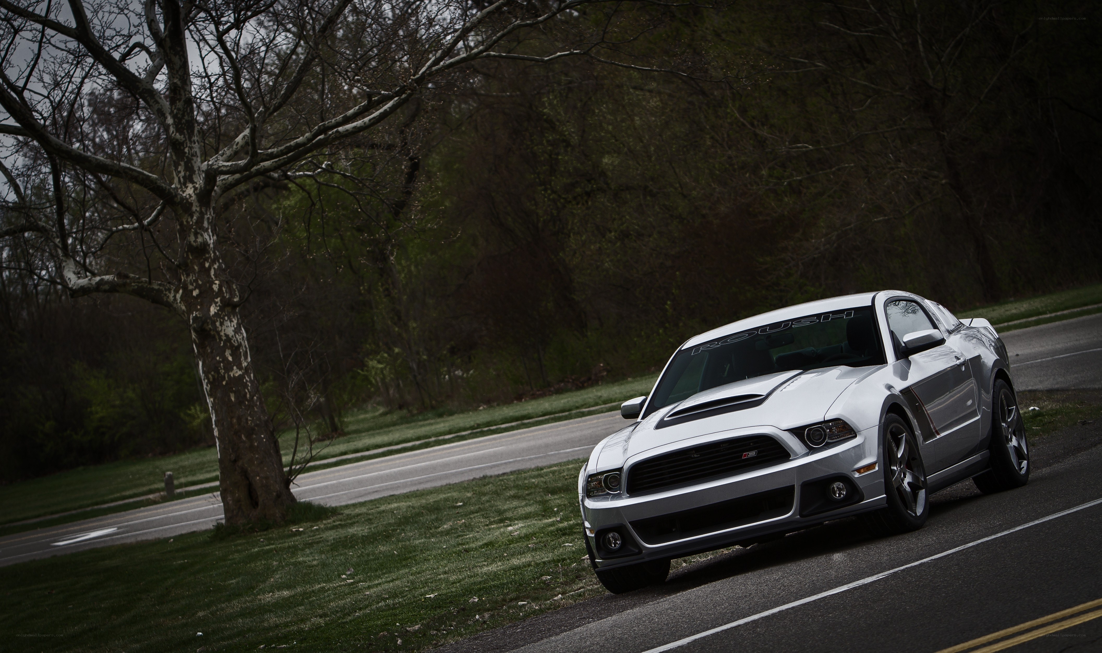 silver ford mustang on road