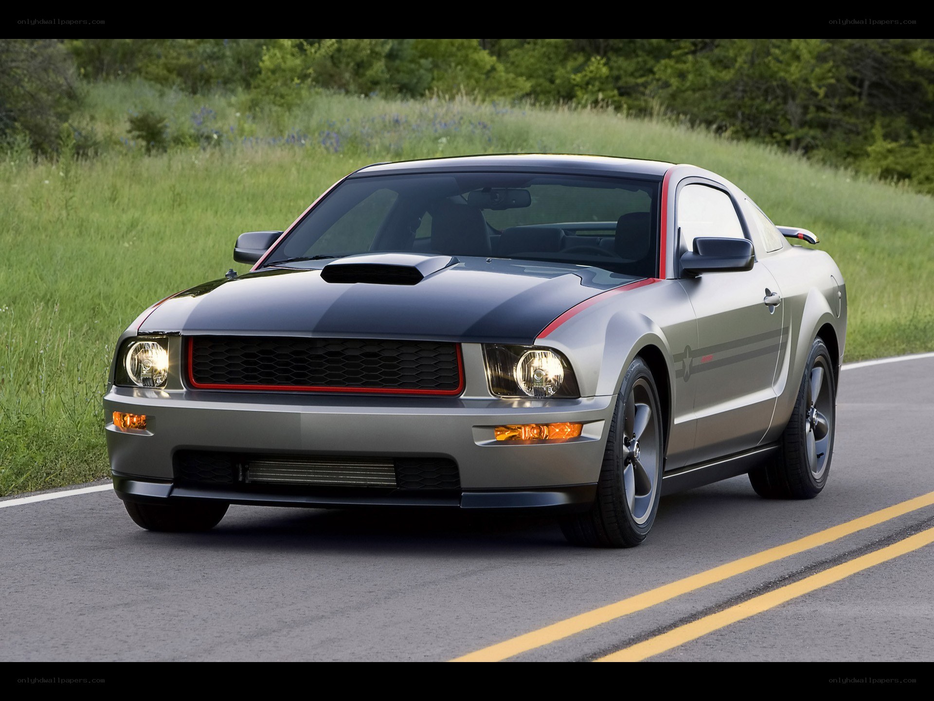 silver ford mustang on road