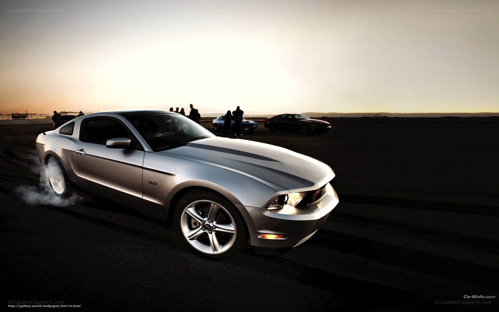 Silver Ford Mustang on track