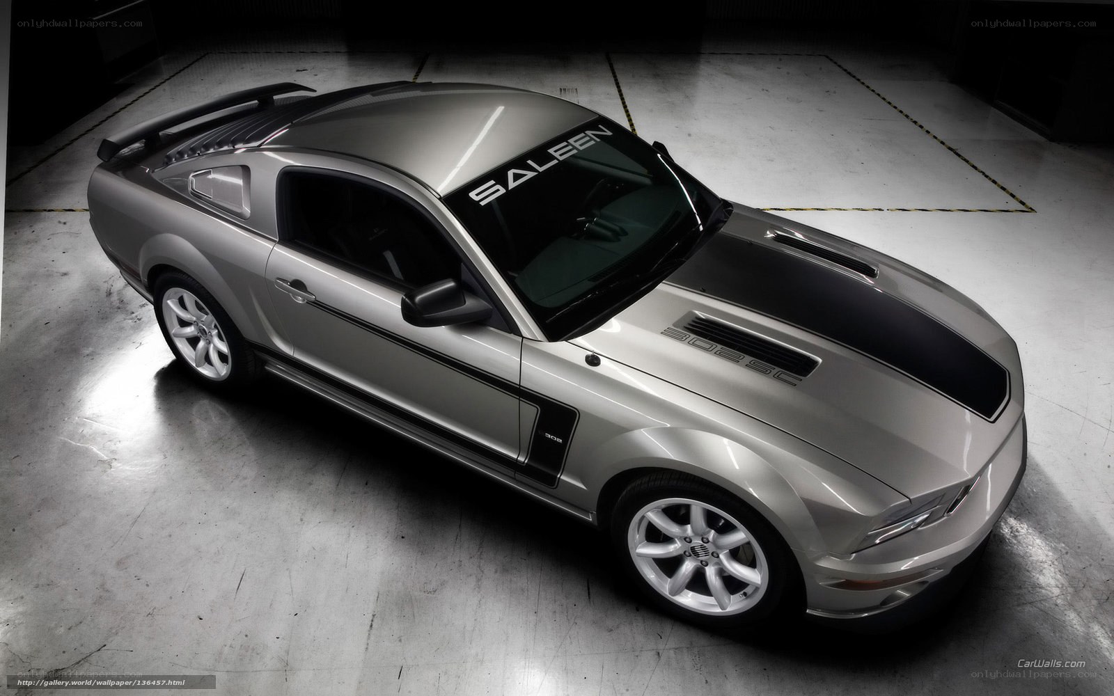 Silver Ford Mustang Saleen