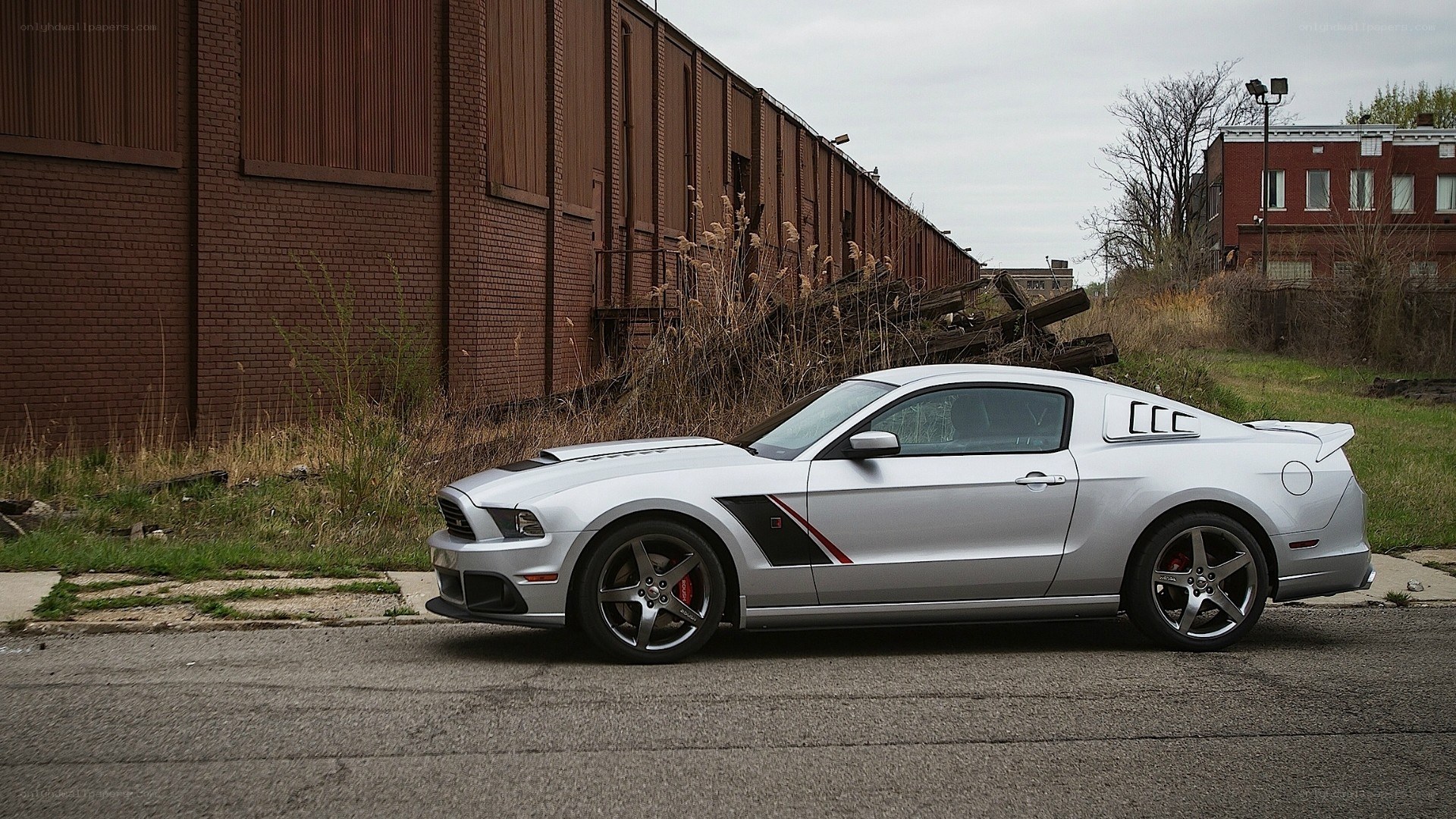silver ford mustang shelby