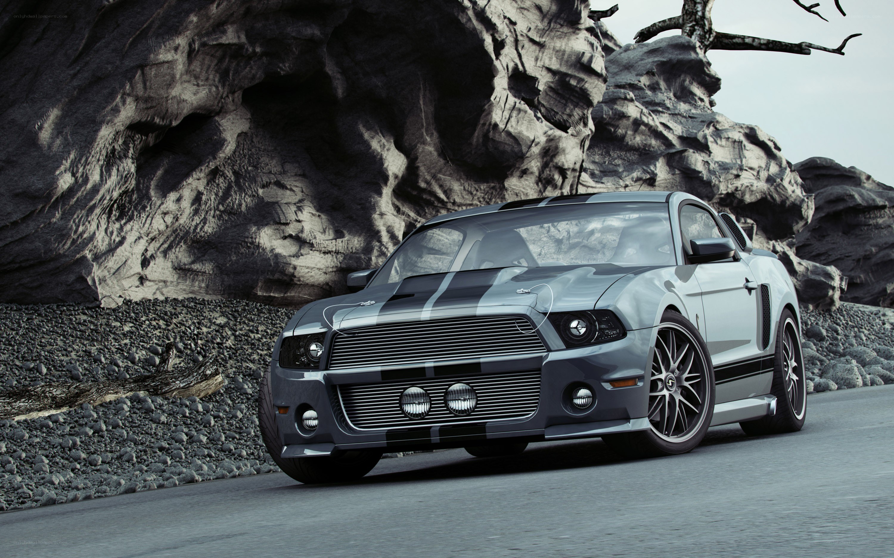 silver ford mustang shelby