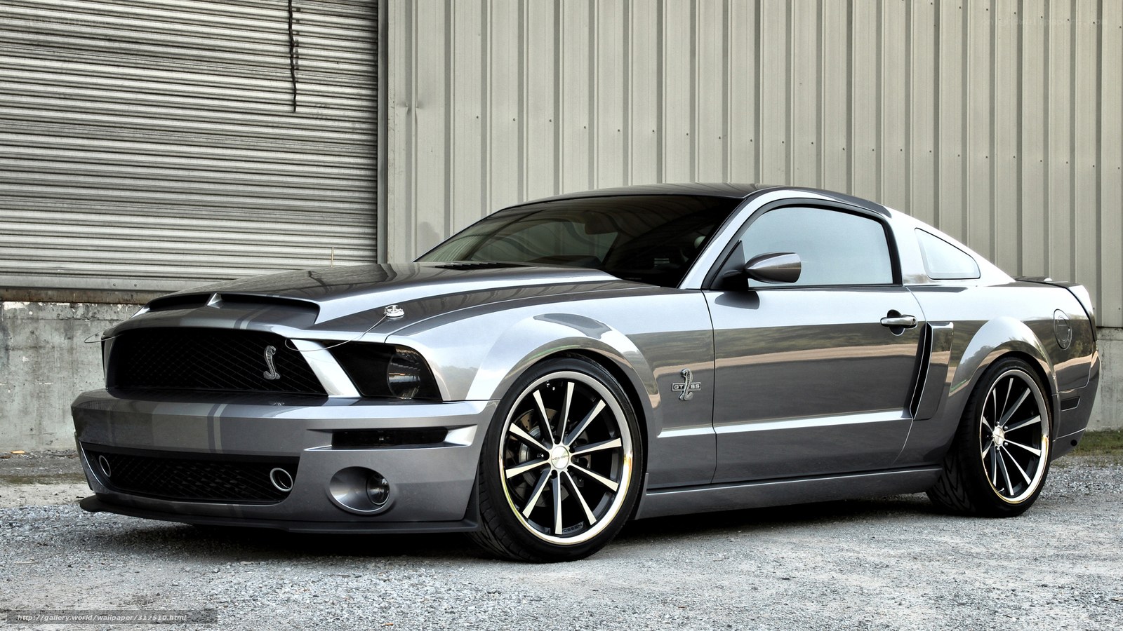silver ford mustang shelby