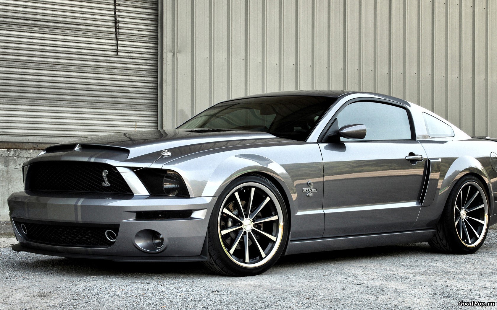 silver ford mustang shelby