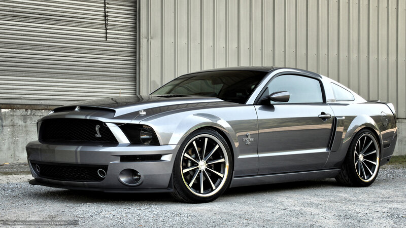 Silver Ford Mustang Shelby — Gray, Dramatic