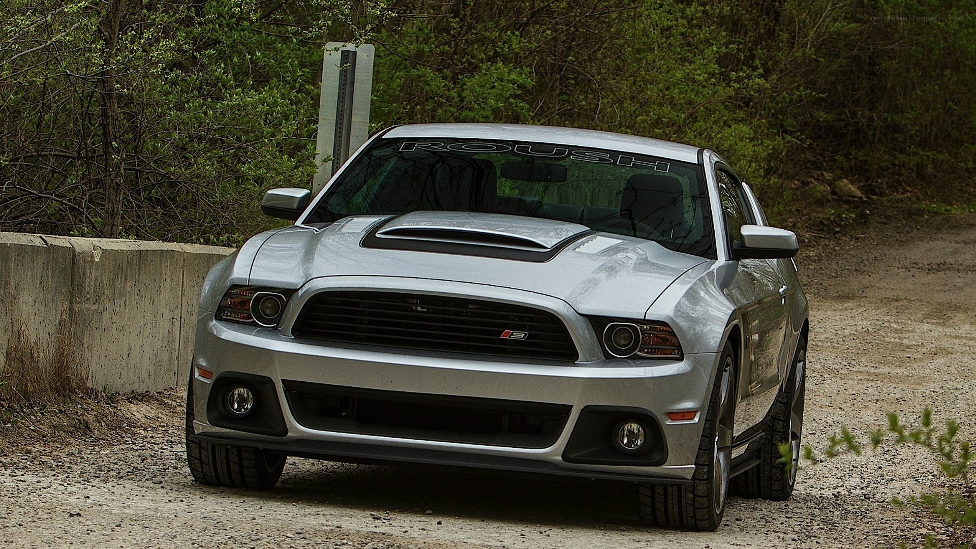 silver ford mustang shelby s3