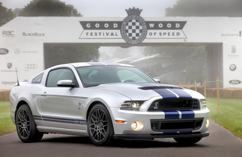 Silver Ford Mustang — White, Dramatic