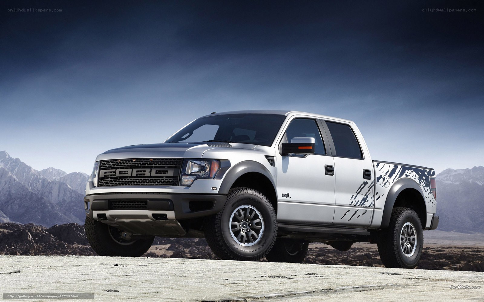 silver ford raptor truck