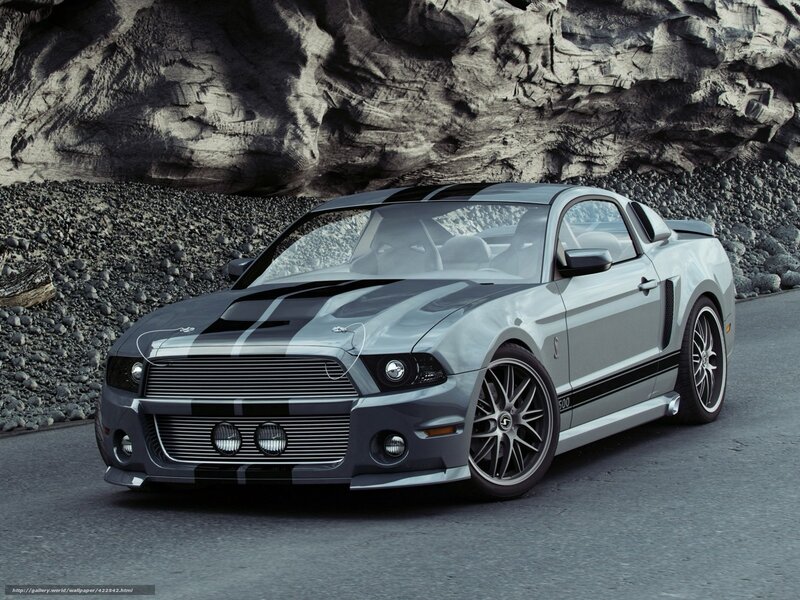 Silver Ford Shelby Gt500 — Gray, Dramatic