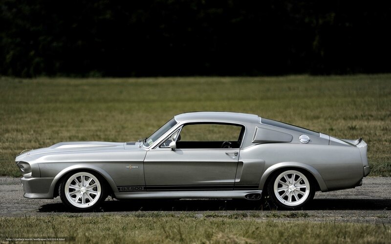 silver ford shelby gt500